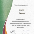 Ampliar imagen: certificate 8