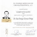 Ampliar imagen: certificate 5
