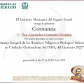 Ampliar imagen: certificate 36