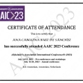 Ampliar imagen: certificate 11