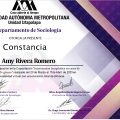 Ampliar imagen: certificate 7