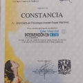 Ampliar imagen: certificate 12