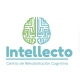 Intellecto
