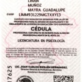 Ampliar imagen: certificate 2