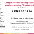 Ampliar imagen: certificate 3