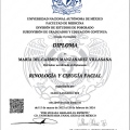 Ampliar imagen: certificate 2