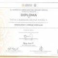 Ampliar imagen: certificate 3