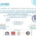 Ampliar imagen: certificate 4