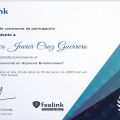 Ampliar imagen: certificate 8