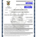 Ampliar imagen: certificate 5