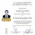 Ampliar imagen: certificate 1