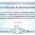 Ampliar imagen: certificate 4