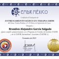 Ampliar imagen: certificate 5