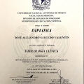 Ampliar imagen: certificate 3