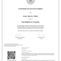 Ampliar imagen: certificate 3