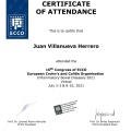 Ampliar imagen: certificate 13
