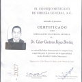 Ampliar imagen: certificate 1