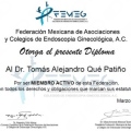 Ampliar imagen: certificate 9