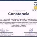 Ampliar imagen: certificate 10