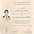 Ampliar imagen: certificate 1