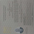 Ampliar imagen: certificate 1