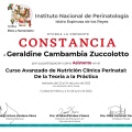 Ampliar imagen: certificate 7