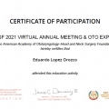 Ampliar imagen: certificate 7