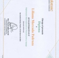 Ampliar imagen: certificate 12