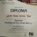 Ampliar imagen: certificate 20