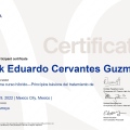 Ampliar imagen: certificate 4