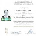 Ampliar imagen: certificate 5