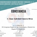 Ampliar imagen: certificate 19