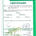 Ampliar imagen: certificate 17