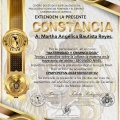 Ampliar imagen: certificate 3