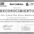 Ampliar imagen: certificate 2