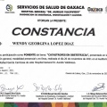 Ampliar imagen: certificate 6