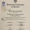Ampliar imagen: certificate 1