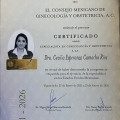 Ampliar imagen: certificate 3