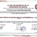 Ampliar imagen: certificate 5