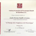Ampliar imagen: certificate 20