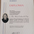 Ampliar imagen: certificate 3