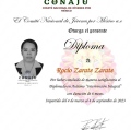 Ampliar imagen: certificate 6