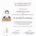 Ampliar imagen: certificate 4