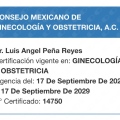 Ampliar imagen: certificate 1