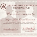 Ampliar imagen: certificate 13