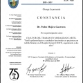 Ampliar imagen: certificate 9