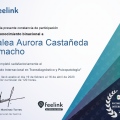 Ampliar imagen: certificate 4
