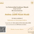 Ampliar imagen: certificate 2
