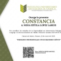 Ampliar imagen: certificate 26