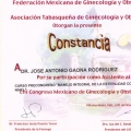 Ampliar imagen: certificate 11